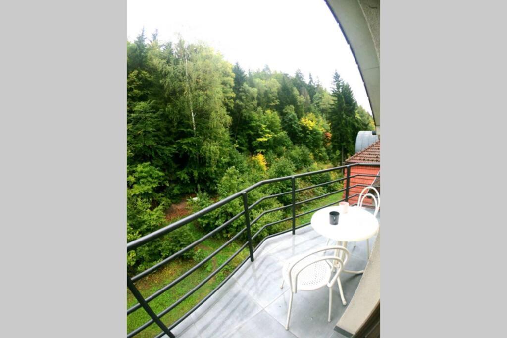 The Mountain Loft Klinovec - With Infrasauna Jáchymov Zewnętrze zdjęcie