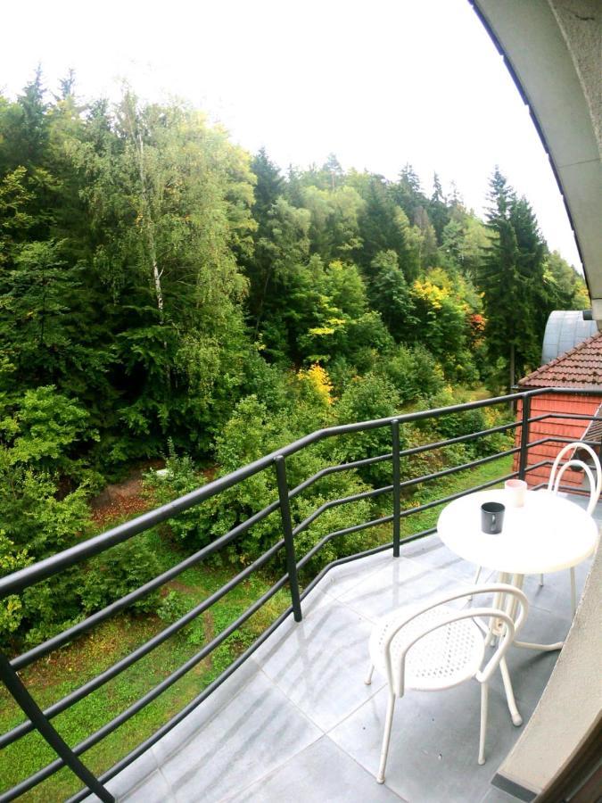 The Mountain Loft Klinovec - With Infrasauna Jáchymov Zewnętrze zdjęcie